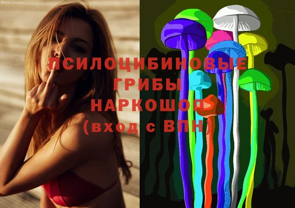 2c-b Кукмор