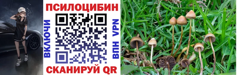 Купить закладки  Нариманов  Псилоцибиновые грибы MAGIC MUSHROOMS 